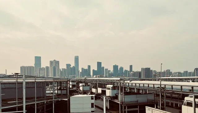 系统维护中软件选型的两种做法与实际取舍
